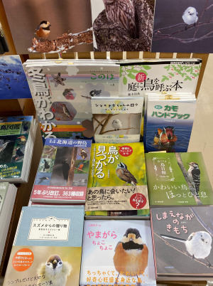 雪や氷、極地の環境、動物の越冬する姿、意外な好奇心をくすぐる理工書の「冬」フェア