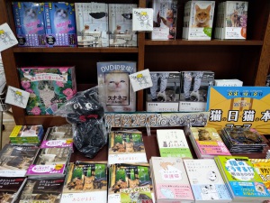 【２月２２日は】にゃんてかわいい猫の日フェア【にゃんこの日】