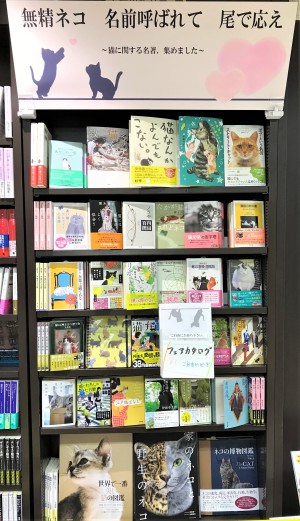 本の世界で猫と戯れてみませんか？「猫の日」フェア