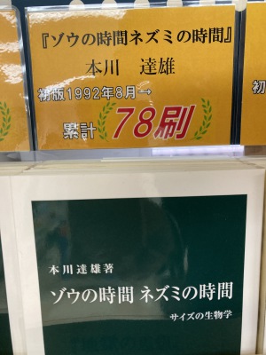 「中公新書」は古い！だからこそ良い。フェア