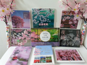 【春のお花見】美しの桜 絶景フェア【日本の心】