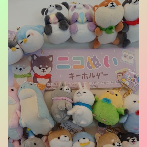 ニコぬい新商品入荷しました