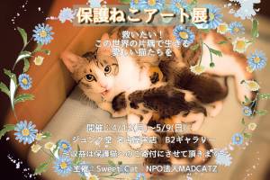 保護猫アート展