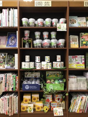 『春に育てたい植物栽培キット』取扱開始しました