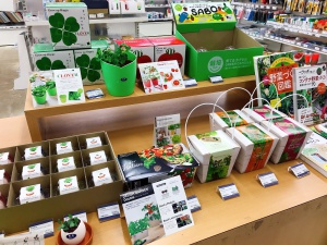 お家で ”緑”に癒やされてしまおう！フェア