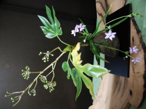 奥泉幸子クレイアートでつくる山野草展