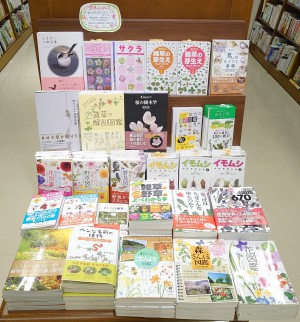 おうちでも春を感じてみよう！