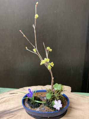 クレイアートとハンドバッグ　ふたり展