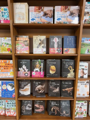 【もっと知りたい】『生物ミステリーPRO 』古生物シリーズフェア