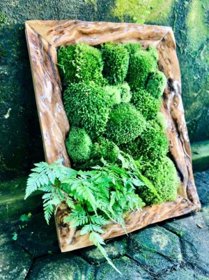 空間デザイン　テラリウム展