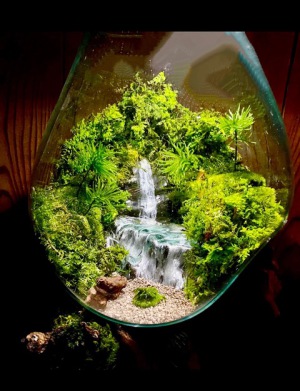 空間デザイン　テラリウム展