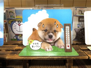 夏のグリーティングカードご用意しました！