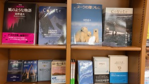 【没後25周年】星野道夫フェア