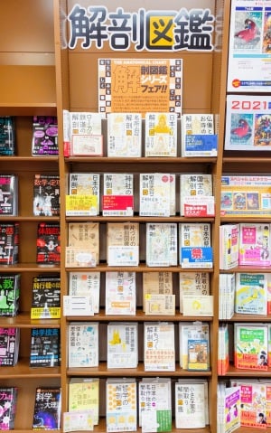 解剖図鑑シリーズフェア