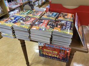 「超ビジュアルシリーズ」の対象商品に、甲冑ペーパークラフトがついてきます！