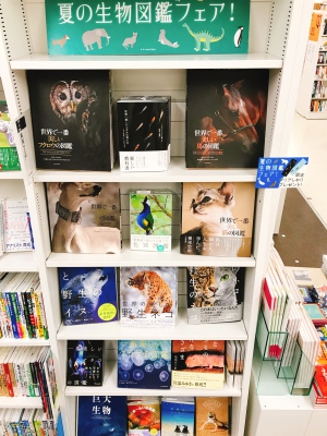 夏の生物図鑑フェア（エクスナレッジ刊）