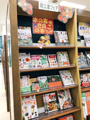 木の実・きのこの本フェア