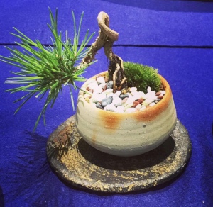 第五回　丸善備前焼展　伊勢﨑一門の世界