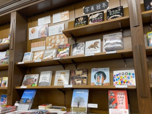 【かわいい！】写真絵本フェア【知的！】