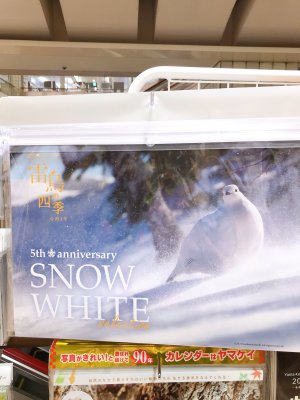 雷鳥カレンダー発売中です！