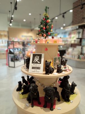 〈炭の華〉インテリアにもお部屋の消臭にも