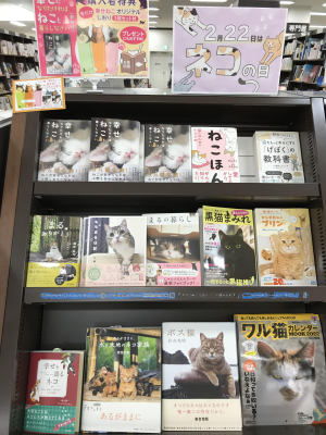 猫の日フェア