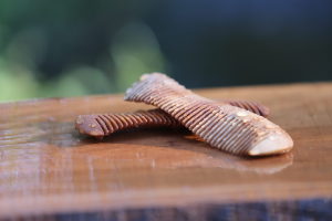 アートフォルム　斧折樺