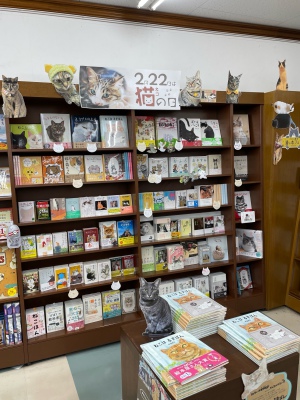 2月22日は猫の日フェア