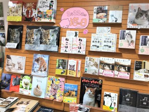 ＜２月22日は猫の日＞猫の本＆グッズフェア開催中