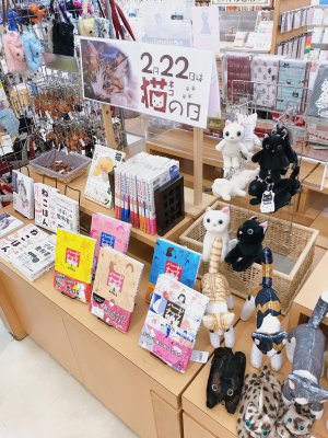 猫の日フェア開催中です！