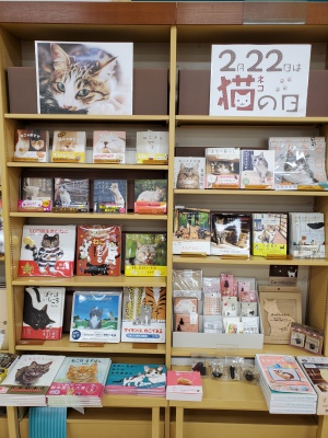 2月22日スーパー猫の日記念フェア！