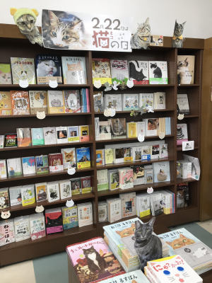 2月22日は猫の日