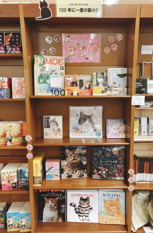 100年に一度のネコの日フェア