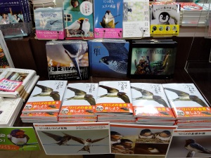 【鳥のオールスター】『にっぽんツバメ紀行』刊行記念フェア 【有翼の隣人】