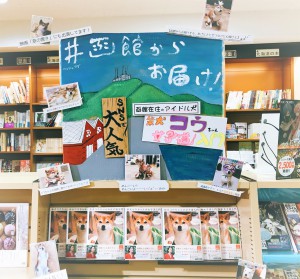 函館のアイドル犬【柴犬コウちゃんの女子道入門】写真集発売フェア！