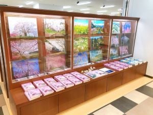 谷角靖写真集『桜旅』パネル展 開催