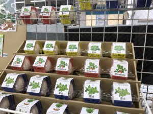 「緑のある生活」おすすめしています