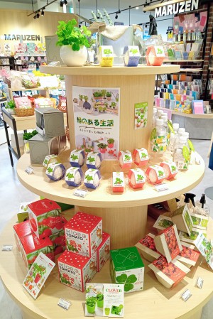 おうちで育てるグリーン「緑のある生活」