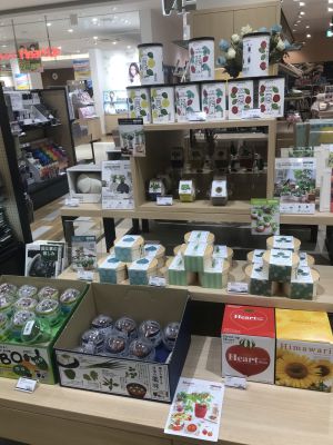 自宅でかんたん　植物栽培キットフェア