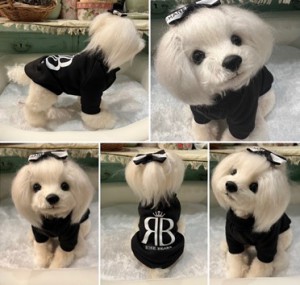  テディベア展 Part4 Spring2022 作家名 吉川照美さん