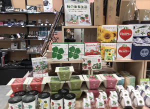手軽に栽培を楽しめる！「緑のある生活フェア」開催中！