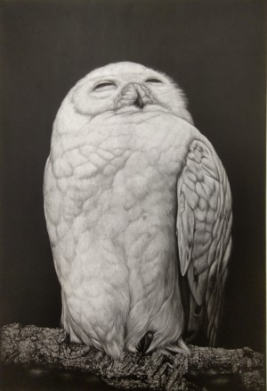 生田宏司 銅版画展　～漆黒の宇宙に浮かび上がる愛しきもの～