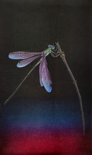 生田宏司 銅版画展　～漆黒の宇宙に浮かび上がる愛しきもの～