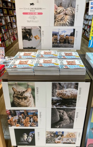 【興味津々】にゃんこ四字熟語辞典　ミニパネル展【熱烈歓迎】