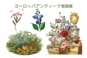ヨーロッパアンティーク版画展 ～ボタニカルアートから西洋古典版画まで～