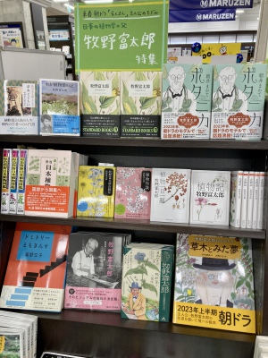 「Ｍ植物園へようこそ」フェアを開催中です！