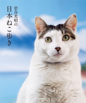 【新刊お知らせ】新発売『岩合光昭の日本ねこ歩き』【待望の一冊】
