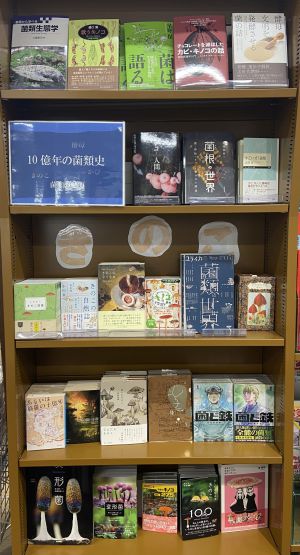 【"菌"断の世界】10億年の菌類史～菌類の魅力～