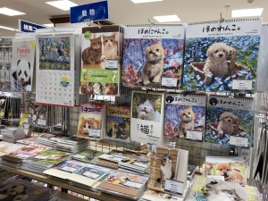 2023年度カレンダー・ダイアリーフェア開催中！