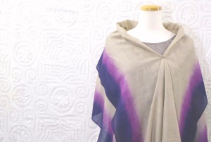 魅惑のインド展